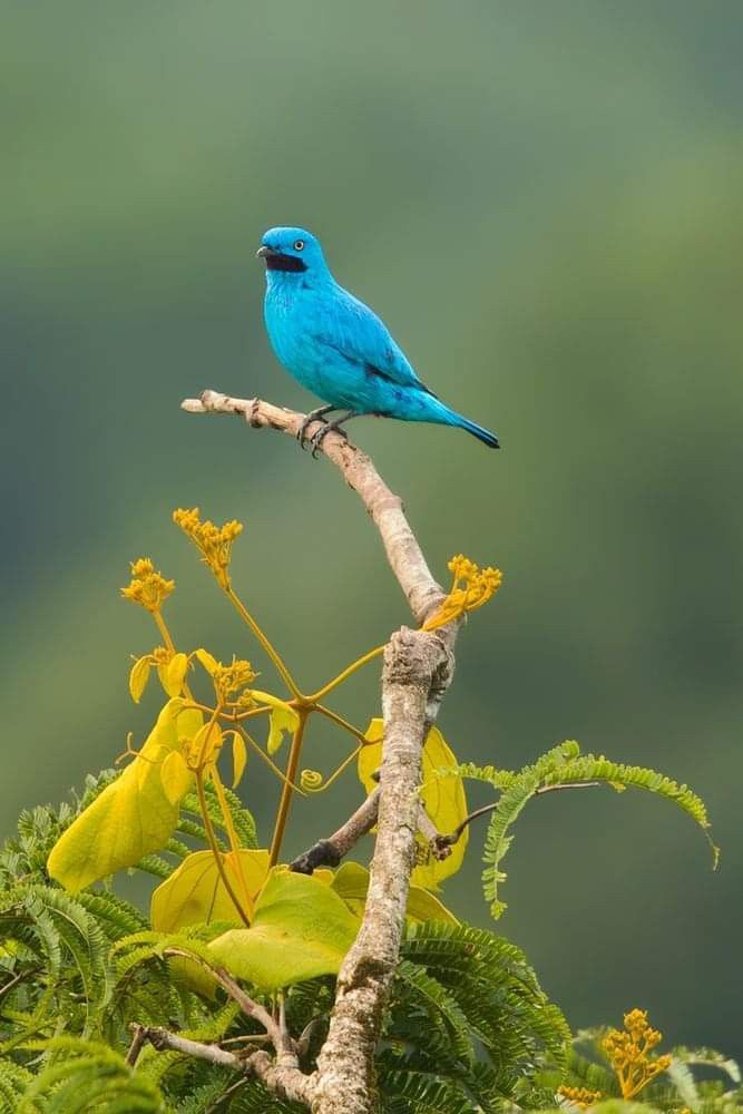 Birdwatching Trails